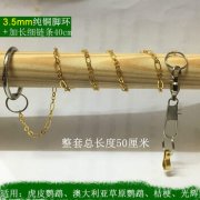 <strong>建成国内首套标准化中试</strong>